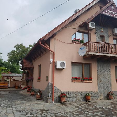 Pensiunea Lorincz *** Panzio Sovata Exteriör bild