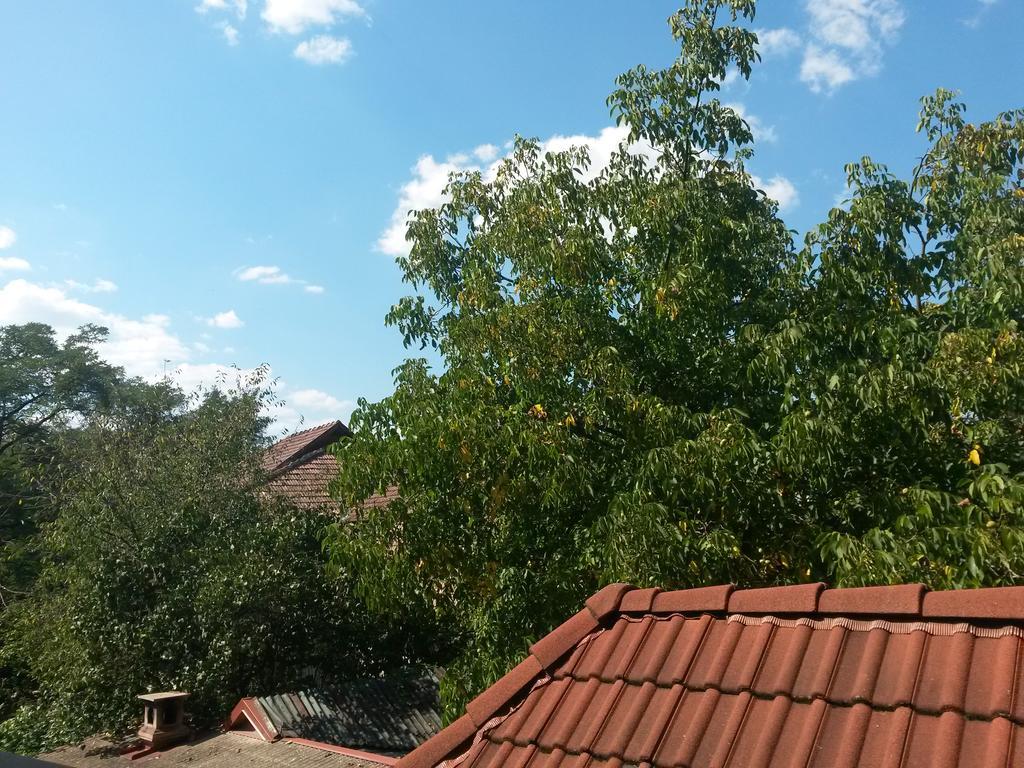 Pensiunea Lorincz *** Panzio Sovata Exteriör bild