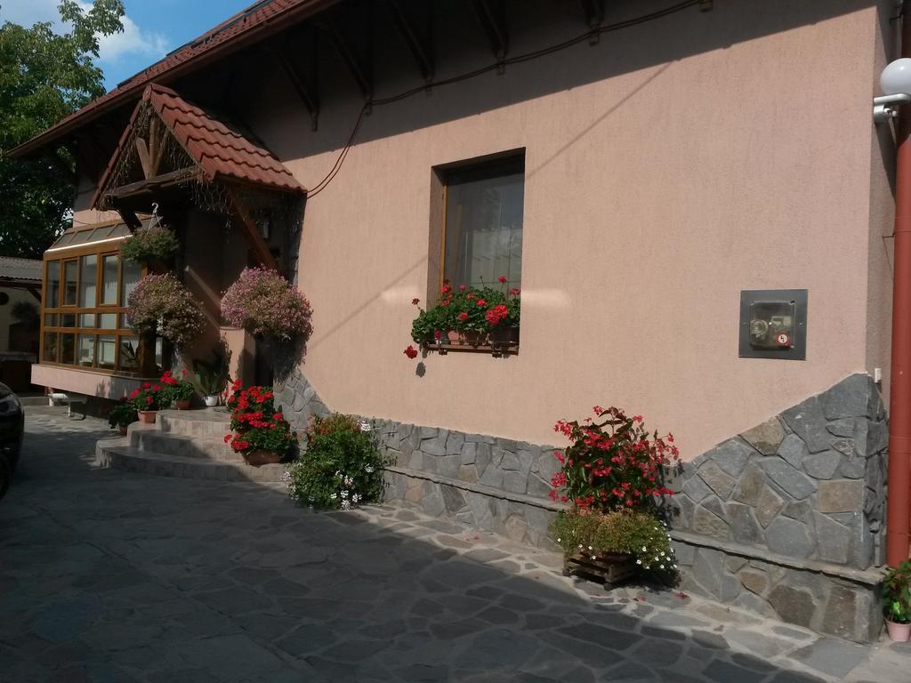 Pensiunea Lorincz *** Panzio Sovata Exteriör bild